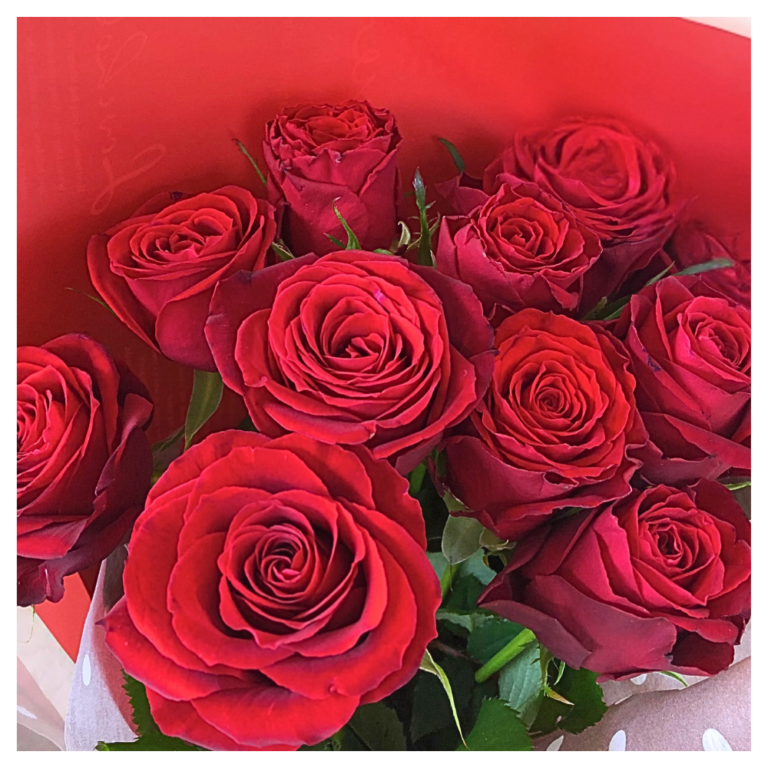 B-Dozen Rose-Red
